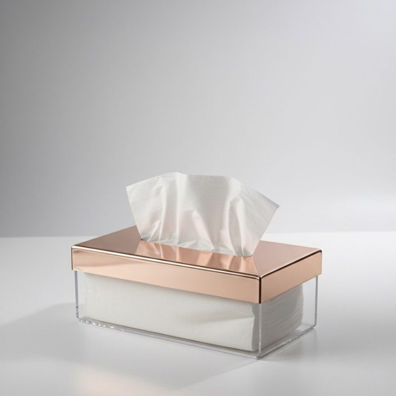 BOITE A MOUCHOIR PLEXIGLASS DBX ROSE