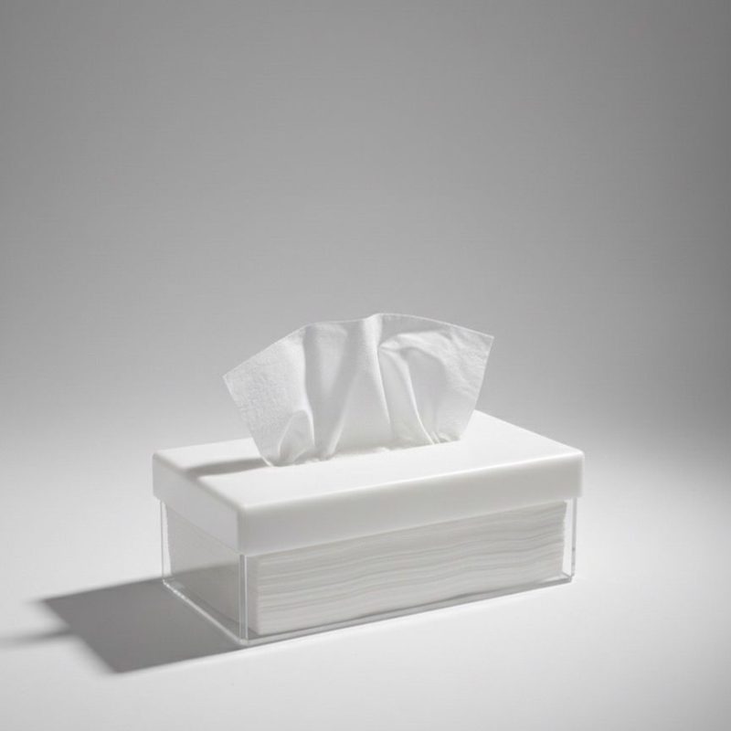 BOITE A MOUCHOIR PLEXIGLASS DBX BLANC